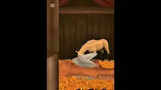 Horse Riding Tales Breeding #edit #games #horse #horsegames #horses #horseriding