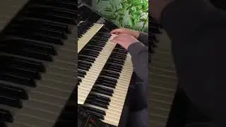 Undecided | Florian Hutter - Wersi Atlantis #shorts #organ #swing