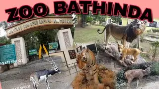 Zoo Bathinda (BIR TALAB)