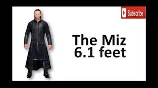 WWE Wrestlers Height Comparison Chart | Shortest Vs Tallest