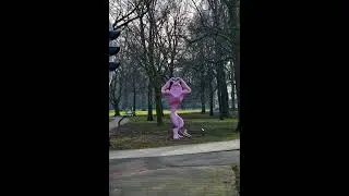 Haarlem in 10000 stappen