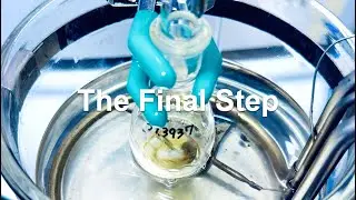 【有機合成】最終段階！極少スケールで目的化合物は出来るのか【真のトリチアスマネン#14】