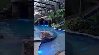 This backyard has a huge grotto, a waterslide, a big spa, a swim-up bar, a screened enclosure