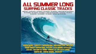 Surfer Joe