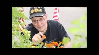 Pennsylvania Veterans Homes