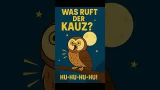 🦉💥 Was ruft der Kauz?! 💥🦉