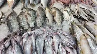 Explore the bustling CR Park Fish Market in Delhi, famously known as Mini Bengal