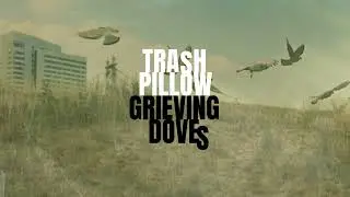 Trash Pillow - Grieving Doves (Official Music Video)