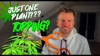 One plant in the suitcase with Topping! - Mini Grow Box by Bonsanto&reg;