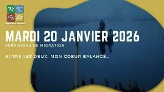 Prévisions de migration du 20 janvier 2026 - Entre les deux mon cœur balance…