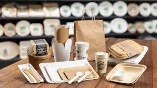 PAPSTAR - naturally sustainable! (PRODUCT RANGE)