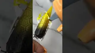 Honeycomb Stencils for Nail Art