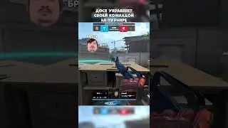 Dosia колит раунд  #twitch #твичстрим #cs2overpass #приколыcs #dosia #vodkateam #cs2 #cs