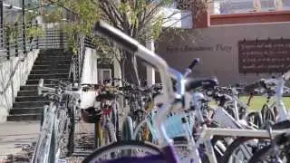 NAU Flagswag ROUGH CUT