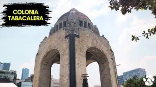 Colonia Tabacalera: Historia, Arte y Arquitectura en CDMX