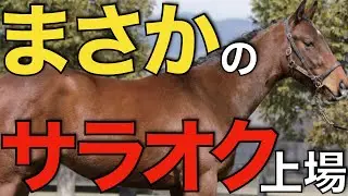 【レアケース】日本ではかなり珍しい！OP実績のある3歳馬がサラオクに出品される。