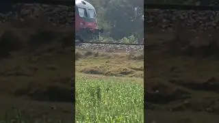 sunvaha Re Sona de dijiye mobile