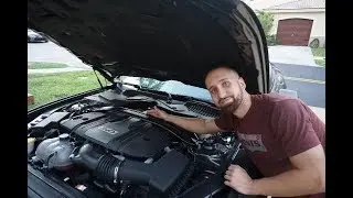 The Stang gets some front end stability (Ford Performance strut tower brace)