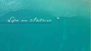 RIU Palace Guanacaste, Costa Rica. 🌴 Beautiful drone footage. [4K] 🌴