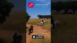 Best horse app for trail riding with map and GPS - Horse Strides app - for equestrians on iPhone