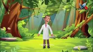 JOELTV
