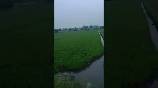 @Thuy Duong-u3n cuộc sống đồng qu&ecirc; 