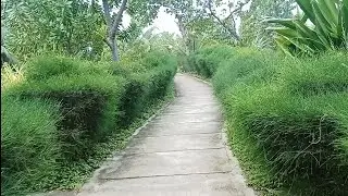 #maldivesvlog #tohedul #vlog #park