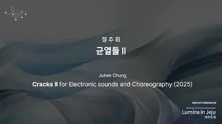 The 8th JICMF | Juhee Chung | 균열들 II Cracks II