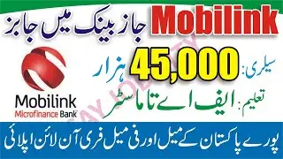 Mobilink Microfinance Bank Jobs - Apply Online for Mobilink Microfinance Bank Jobs - Bank Careers
