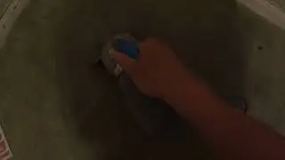 Royal prince handvac