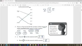 The number  system - Cambridge Primary Mathematics WorkBook 6 | شرح
