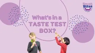 What's in a Taste Test Box from Small Bites Adventure Club?