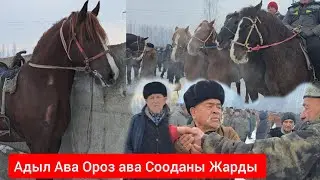 Пай пай  Ноокат  Арал  ЖЫЛКЫ Базары Укмуш Кызыды 