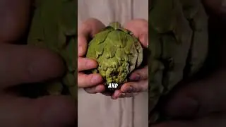 Why ARTICHOKES are GREAT for your HEALTH!