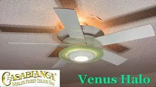 52&rdquo; Casablanca Venus Halo ceiling fan (2024 Remake)