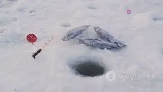 Why Does Ice Float on Water #science #sciencefacts #funfacts #inspiration #ice #sciencelover