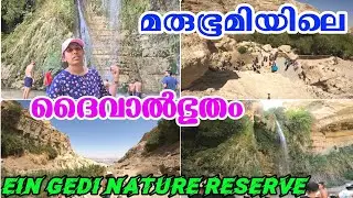 ഇസ്രായേലിലെ Ein Gedi Nature Reserve | ദാവീദ് രാജാവ് അഭയം പ്രാപിച്ച സ്ഥലം |@sanjovlogs2020|Vlog 104
