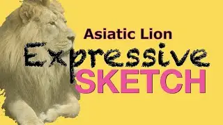 Expressive sketch of an Asiatic Lion