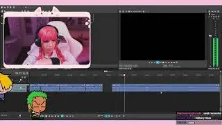 Bonney Video Editing Stream 2 [One Piece] - MelonTeee