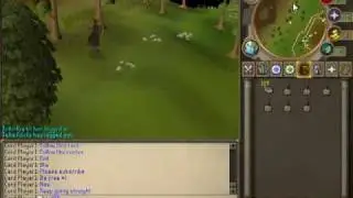 RuneScape How-To: Hunting Grey Chinchompas