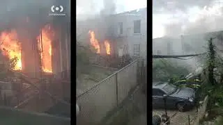 Woman Hospitalized, Dog Fatally Injured in Hunts Point Apartment Fire at Hunts Point, Bronx