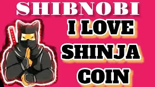 UPDATE: SHINJA/SHIBNOBI SHIBA INU: LATEST NEWS FOR NOVEMBER. SHINJA TO DELETE 4 ZERO'S IN Q3.