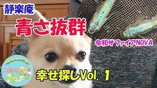 第195回 静楽庵プラス【めだかサロンで幸せ探し Vol １】