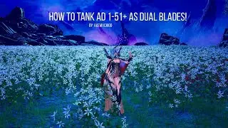 Blade and Soul - How to Tank Aerodrome (1-51+) as Dual Blades - DB (Shifting Blades)