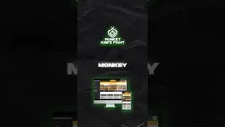 Does anyone remember Monkey Knife Fight? 🐵 🔪 #betting #sportsbetting #bettinglife