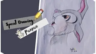 Dessiner Panpan - Speed drawing