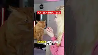 DNA Test mit Katze?