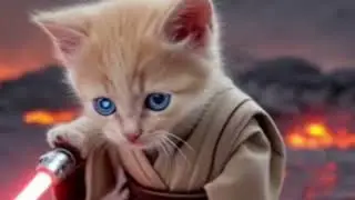 Star Paws FULL VIDEO SHORT