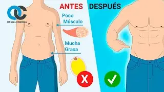 Flaco con barriga ¡guía definitiva!