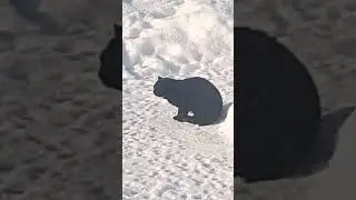 Чертик хозяин сугробов!